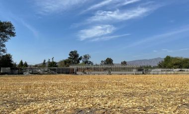 Rancho con Invernadero en Renta en Atequiza Ixtlahuacan de los Membrillos