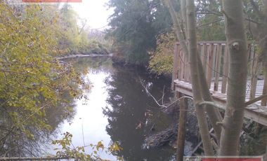 Cabañas en Alquiler a orillas del arroyo en Ing. Maschwitz Amuebladas disponible a partir de Agosto