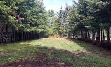 Terreno residencial en venta en Rancho o rancheria San José Ocotillos