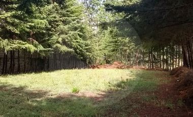 Terreno residencial en venta en Rancho o rancheria San José Ocotillos