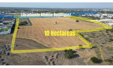 Lote de 10  hectareas acceso desde carretera , plano limpio