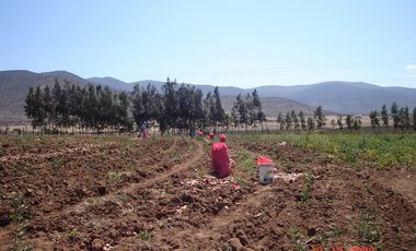 Sitio en Venta en Camino interior santa filomena- pan de azucar