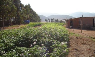 Sitio en Venta en Camino interior santa filomena- pan de azucar