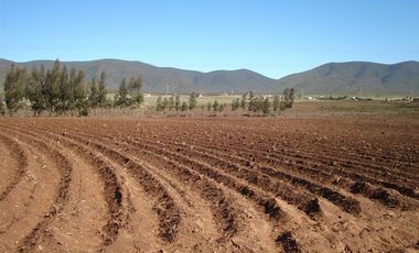 Sitio en Venta en Camino interior santa filomena- pan de azucar