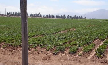Sitio en Venta en Camino interior santa filomena- pan de azucar