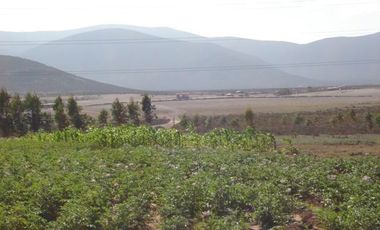 Parcela en Venta en Camino interior santa filomena- pan de azucar