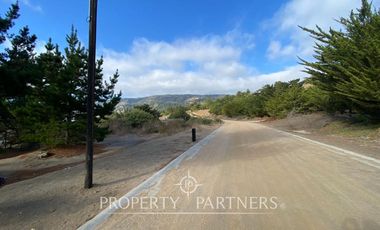 Puertecillo, Terreno primera línea Condominio Punta Puertecillo