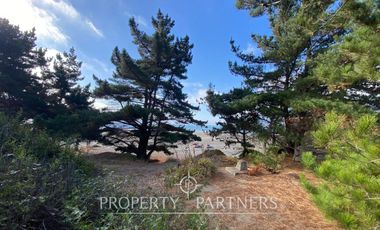 Puertecillo, Terreno primera línea Condominio Punta Puertecillo