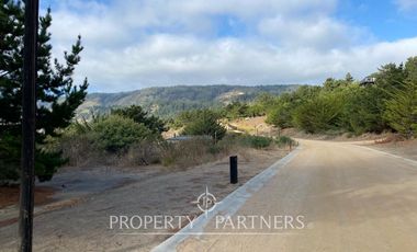 Puertecillo, Terreno primera línea Condominio Punta Puertecillo