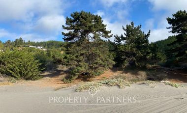 Puertecillo, Terreno primera línea Condominio Punta Puertecillo