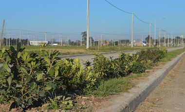 Venta Terreno de 250m2 en EcoPueblo, Alvear