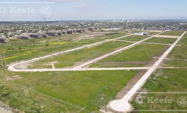 Parque Tecnológico e Industrial Berazategui - Intepark - Zona sur