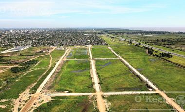 Parque Tecnológico e Industrial Berazategui - Intepark - Zona sur
