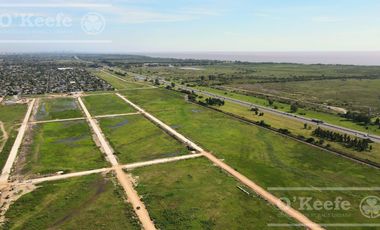Parque Tecnológico e Industrial Berazategui - Intepark - Zona sur