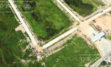 Parque Tecnológico e Industrial Berazategui - Intepark - Zona sur