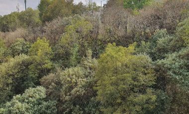 Venta Departamento Bosques de las Lomas baja de precio (R)