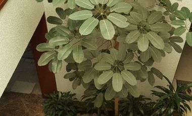 Casa en venta Bosques de las Lomas  calle tranquila R)