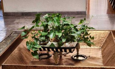 Casa  en  Venta en  Bosques de las Lomas (R)