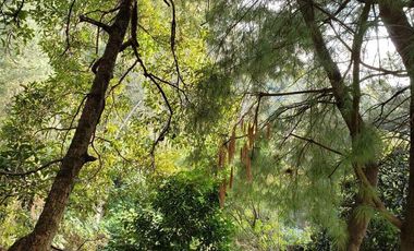 Venta magnifica casa en La Herradura (R)