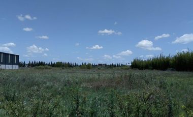 Terreno en alquiler en Troncos Del Talar, Tigre - Parque Industrial Tigre