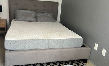 DEPARTAMENTO AMUEBLADO  EN RENTA EN POLANCO