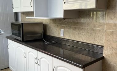 DEPARTAMENTO AMUEBLADO  EN RENTA EN POLANCO