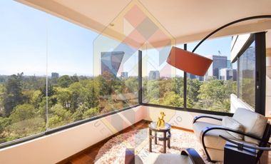 RENTA DEPARTAMENTO SOBRE CAMPOS ELISEOS