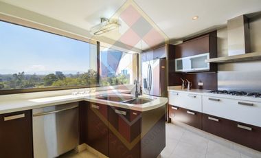 RENTA DEPARTAMENTO SOBRE CAMPOS ELISEOS