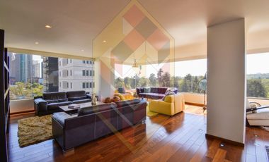 RENTA DEPARTAMENTO SOBRE CAMPOS ELISEOS