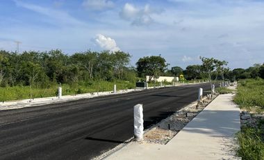 Terreno en venta en Mérida, Corteza, Temozón