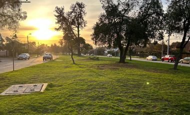 Venta local comercial Concón