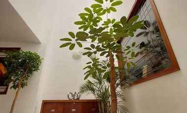 CC BAJÓ DE PRECIO!!! VENTA DE HERMOSA Y AMPLIA CASA, SANTA CATARINA, COYOACÁN