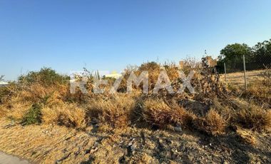 RENTA DE TERRENO COMERCIAL AVENIDA DEL JACAL