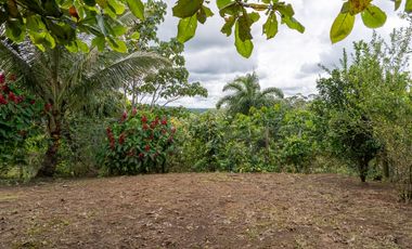 El Tena, Terreno en Venta, 6.8 Hectáreas , Construcción de 150m2