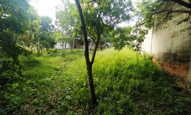 Vendo Lote de 26000 mts2 Municipio De Baranoa Atlantico