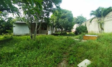 Vendo Lote de 26000 mts2 Municipio De Baranoa Atlantico