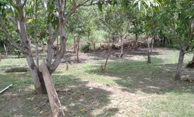 Vendo Lote de 26000 mts2 Municipio De Baranoa Atlantico