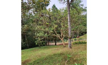 VENTA DE LOTE/ TERRENO EN ALTOS DEL MARA -(4)