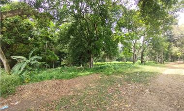 Se Vende Terreno en el Espino-La Chorrera (DR)