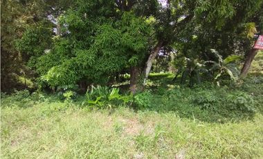 Se Vende Terreno en el Espino-La Chorrera (DR)