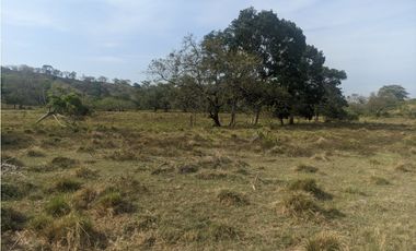 Se Vende Finca de 10 HAS en Monte Oscuro-La Chorrera (DR)