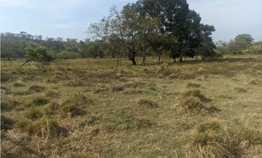 Se Vende Finca de 10 HAS en Monte Oscuro-La Chorrera (DR)