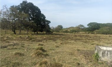 Se Vende Finca de 10 HAS en Monte Oscuro-La Chorrera (DR)