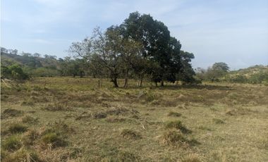 Se Vende Finca de 10 HAS en Monte Oscuro-La Chorrera (DR)