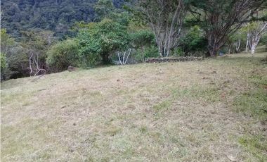 Se Vende Lote en Chica Panamá Oeste (DR)