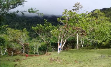 Se Vende Lote en Chica Panamá Oeste (DR)