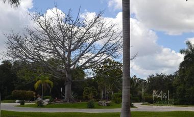 Terreno residencial exclusivo residencial selvamar playa del carmen q.roo