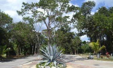 Terreno residencial exclusivo residencial selvamar playa del carmen q.roo