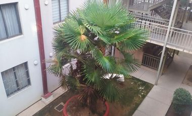 VENTA DEPARTAMENTO 30 ORIENTE TALCA