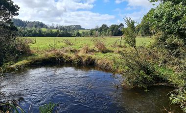 PARCELA EN LOS MUERMOS LA PALOMA